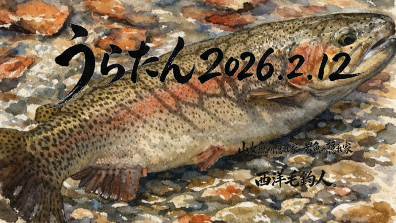 【釣果33匹山女魚1虹鱒32】うらたん2026.2.12 