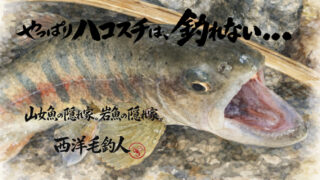 【フライフィッシング】やっぱりハコスチは、釣れない・・・。 