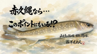 【フライフィッシング】赤久縄なら・・・このポイントにもいる！？ 
