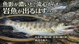 【フライフィッシング】魚影が濃いと、流心からも岩魚が出るはず・・・。 