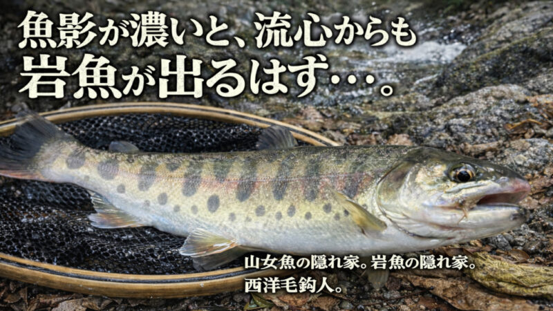 【フライフィッシング】魚影が濃いと、流心からも岩魚が出るはず・・・。 