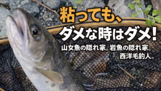 【フライフィッシング】粘っても、ダメな時はダメ！ 