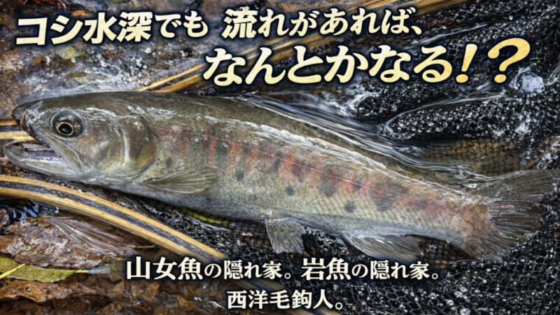 【フライフィッシング】コシ水深でも流れがあれば、なんとかなる！？ 