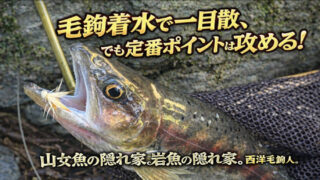 【フライフィッシング】毛鉤着水で一目散、でも定番ポイントは攻める！ 