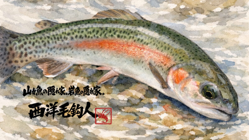 【釣果44匹山女魚1虹鱒43】うらたん2026.2.26 