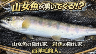 【フライフィッシング】山女魚が湧いてくる！？ 