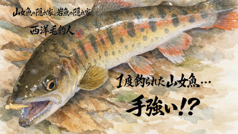 【フライフィッシング】１度釣られた山女魚・・・手強い！？ 