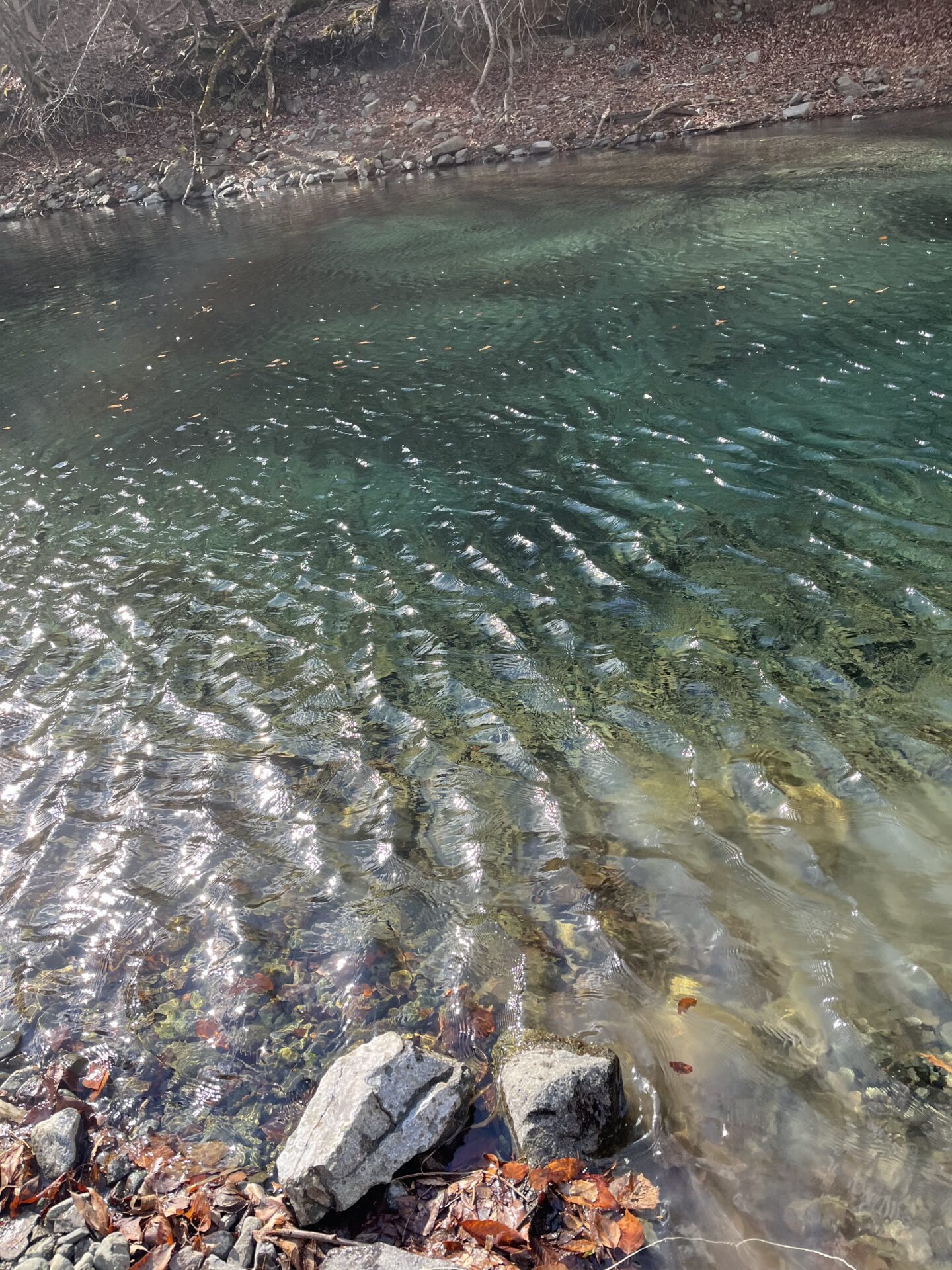 虹鱒
うらたん
13:56
ポイント