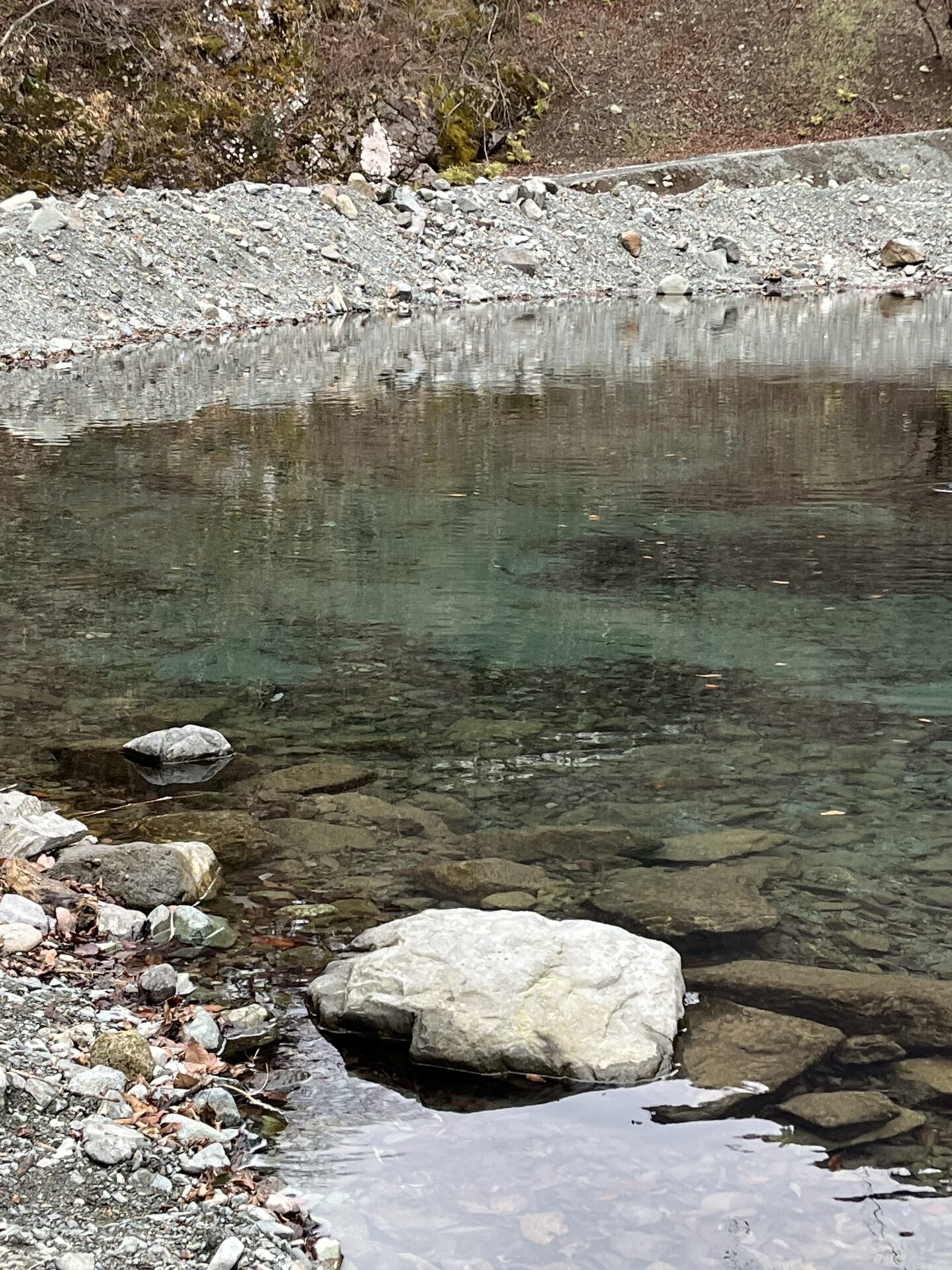 虹鱒
うらたん
15:08
ポイント
