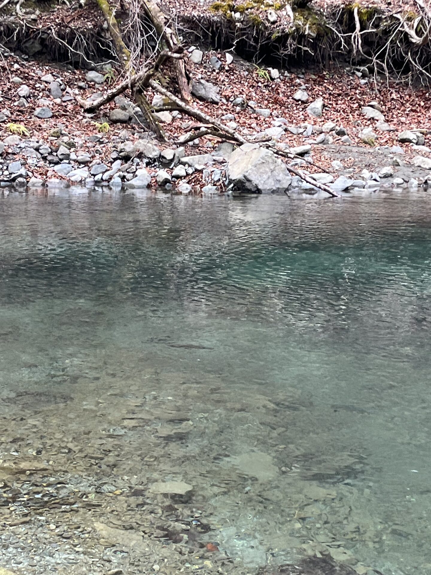 ポイント
山女魚
うらたん
13:50
