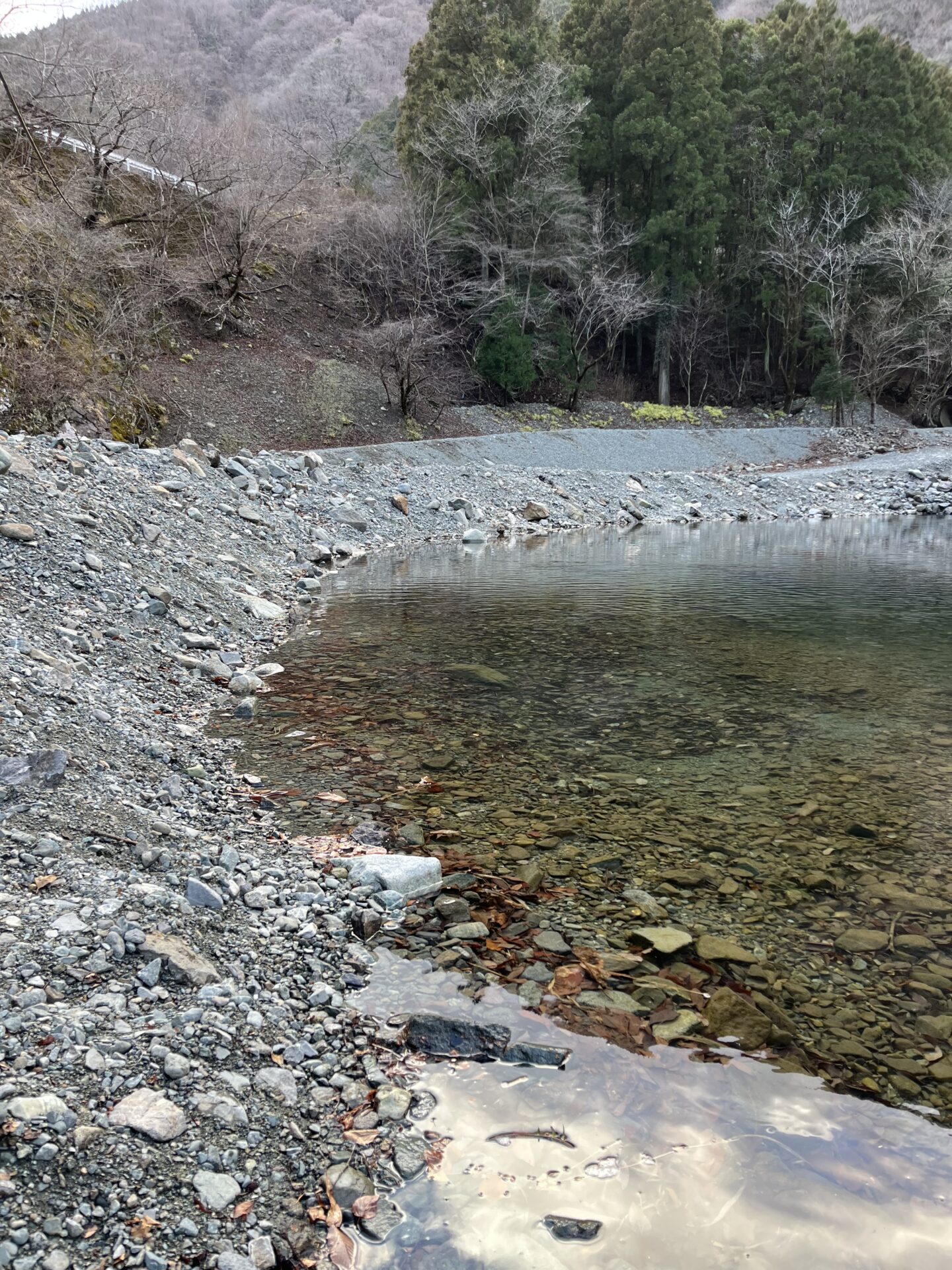 ポイント
虹鱒
うらたん
15:48
