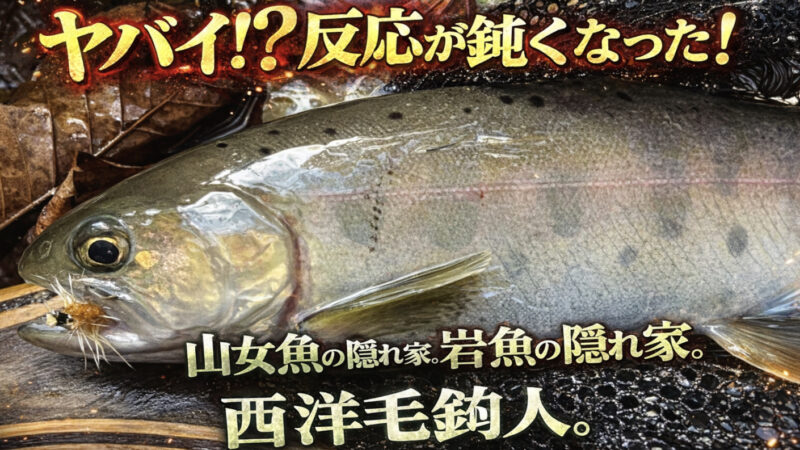 【フライフィッシング】ヤバイ！？反応が鈍くなった！ 