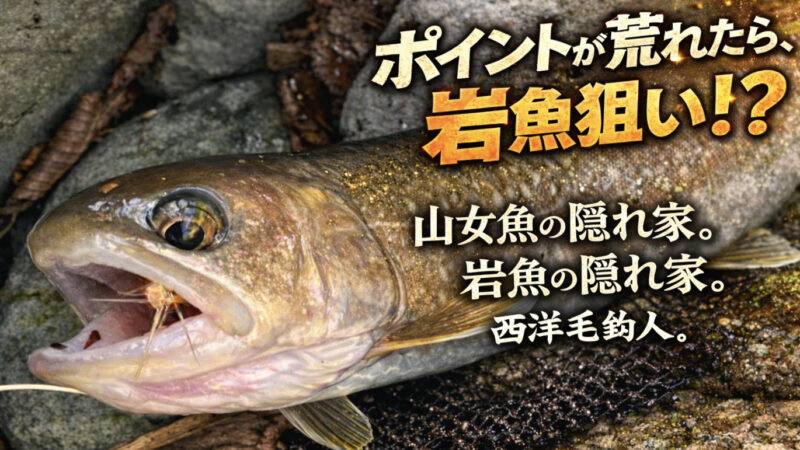 【フライフィッシング】ポイントが荒れたら、岩魚狙い！？ 