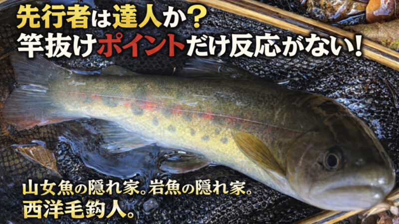 【フライフィッシング】先行者は達人か？竿抜けポイントだけ反応がない！ 