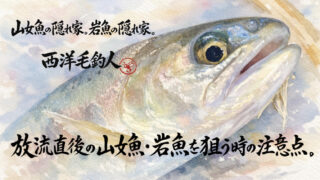 【フライフィッシング】放流直後の山女魚・岩魚を狙う時の注意点。 