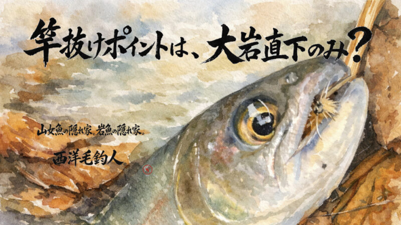 【フライフィッシング】竿抜けポイントは、大岩直下のみ？ 