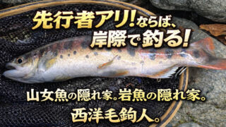 【フライフィッシング】先行者アリ！ならば、岸際を釣る！ 