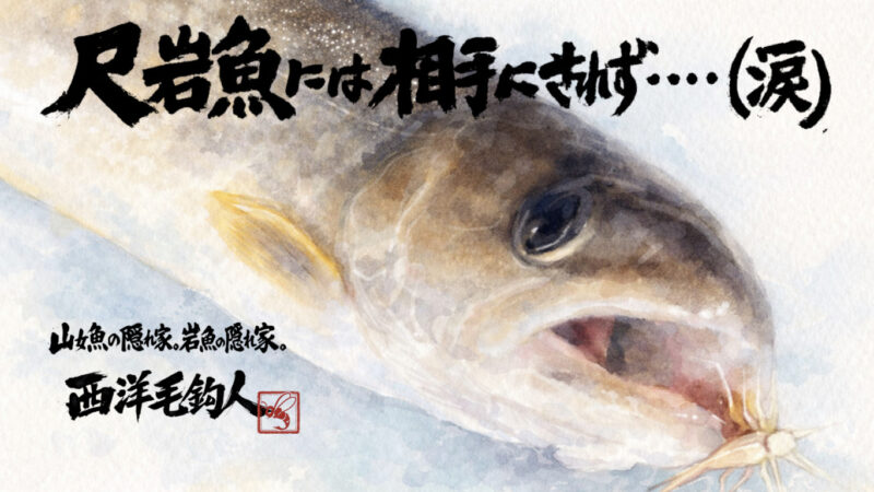 【フライフィッシング】尺岩魚には相手にされず・・・（涙） 