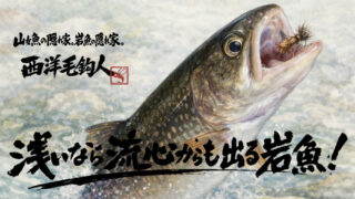 【フライフィッシング】浅いなら流心からも出る岩魚！ 