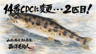 【フライフィッシング】14番毛鉤に変更・・・2匹目！ 