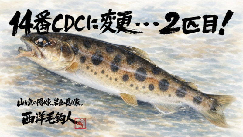 【フライフィッシング】14番毛鉤に変更・・・2匹目！ 