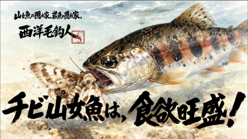 【フライフィッシング】チビ山女魚は、食欲旺盛！ 