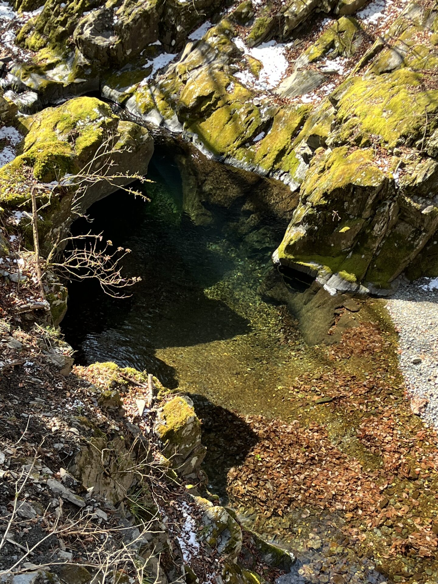 水位
シャロムの森
2026.3.12
