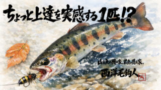 【フライフィッシング】ちょっと上達を実感する1匹！？ 