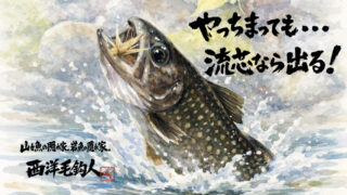 【フライフィッシング】やっちまった・・・流芯なら出る！ 