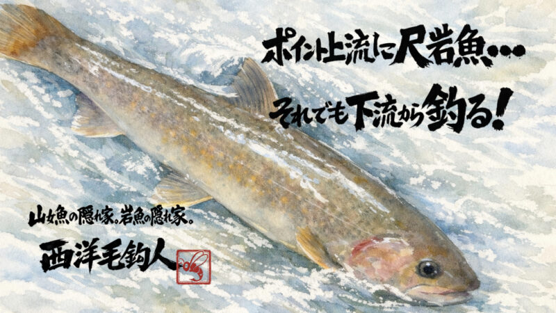 【フライフィッシング】ポイント上流に尺岩魚・・・それでも下流から釣る！ 