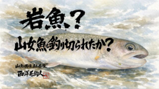【フライフィッシング】岩魚？山女魚は釣り切られたか？ 