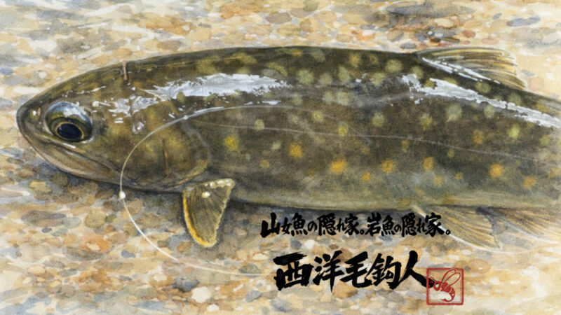 【釣果3匹山女魚2岩魚1】シャロムの森2026.3.25 