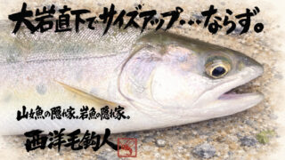 【フライフィッシング】大岩直下でサイズアップ・・・ならず。 