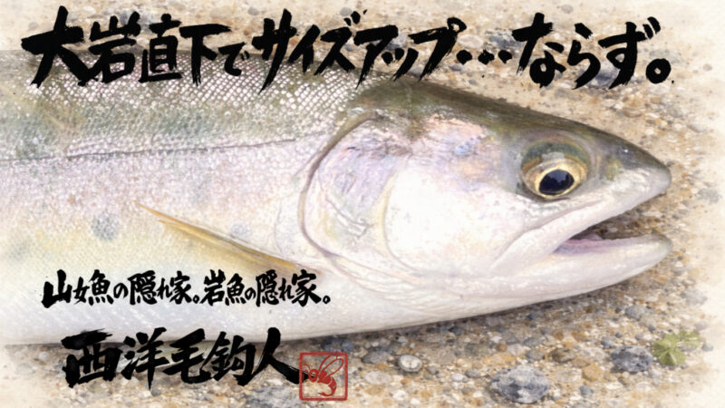 【フライフィッシング】大岩直下でサイズアップ・・・ならず。 