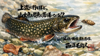 【フライフィッシング】上流に行くほど、山女魚も岩魚も落ち着いている！？ 