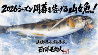 【フライフィッシング】2026シーズン開幕を告げる山女魚！ 