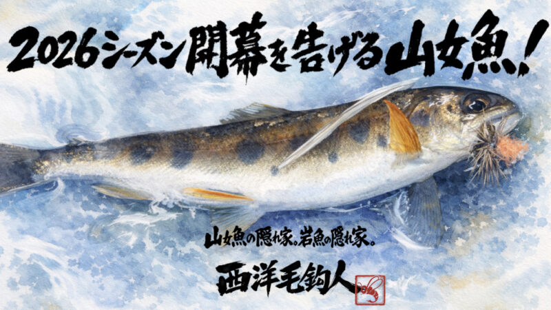 【フライフィッシング】2026シーズン開幕を告げる山女魚！ 