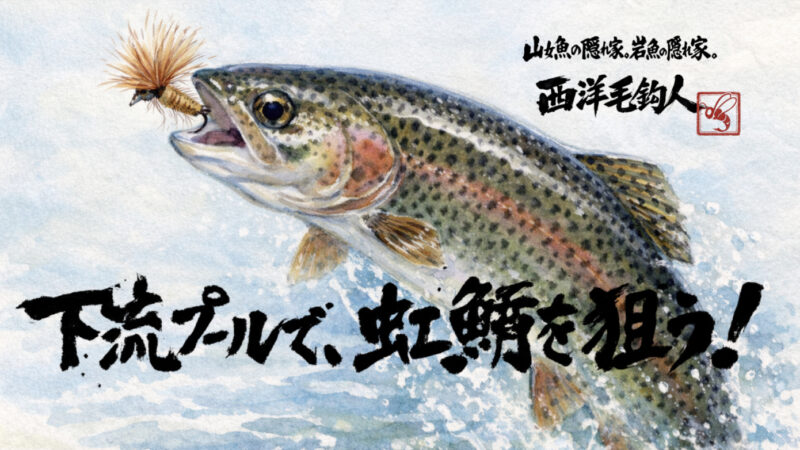 【フライフィッシング】下流プールで、虹鱒を狙う！ 