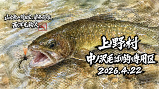 【釣果5匹山女魚2岩魚3】中丿沢毛ばり釣り専用区2026.4.22 