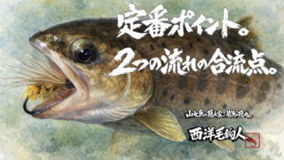 【フライフィッシング】定番ポイント。２つの流れの合流点。 