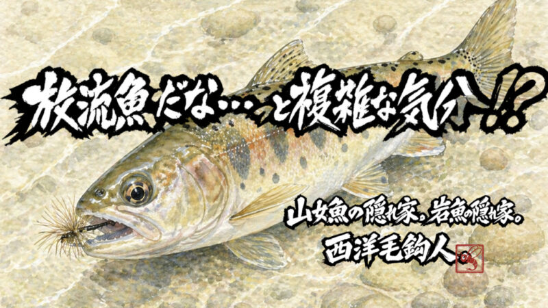 【フライフィッシング】放流魚だな・・・っと複雑な気分！？