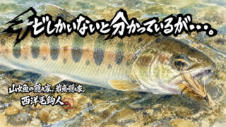 【フライフィッシング】チビしかいないと分かっているが・・・。 