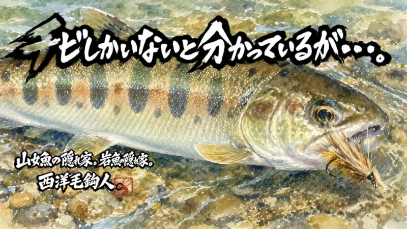 【フライフィッシング】チビしかいないと分かっているが・・・。