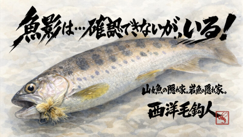 【フライフィッシング】魚影は・・・確認できないが、いる！