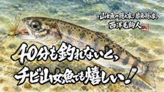 【フライフィッシング】40分も釣れないと、チビ山女魚でも嬉しい！ 