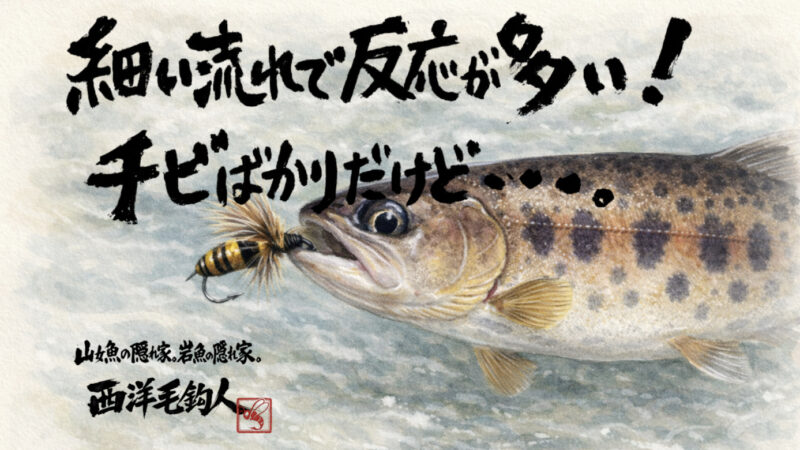 【フライフィッシング】細い流れで反応が多い！チビばかりだけど・・・。 
