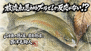 【フライフィッシング】放流点と思われるプールでしか反応がない！？ 