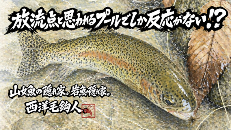 【フライフィッシング】放流点と思われるプールでしか反応がない！？