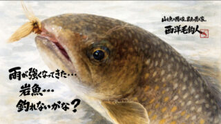 【フライフィッシング】雨が強くなってきた・・・岩魚・・・釣れないかな？ 