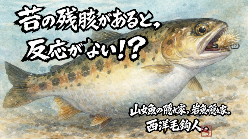 【フライフィッシング】苔の残骸があると、反応がない！？